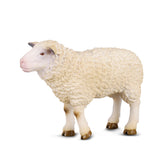 Sheep (3 Years +)