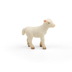 Lamb (3 Years +)