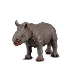 White Rhinoceros Calf (3 Years +)