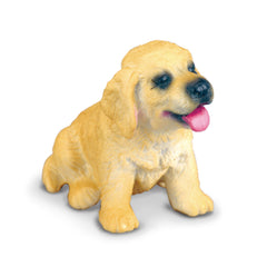 Golden Retriever Puppy (3 Years +)