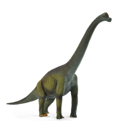Brachiosaurus (3 Years +)