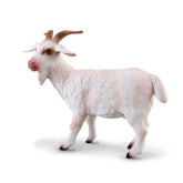 Billy Goat (3 Years +)
