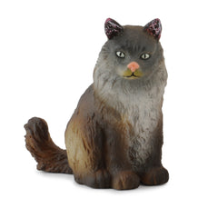 Norwegian Forest Cat Sitting (3 Years +)