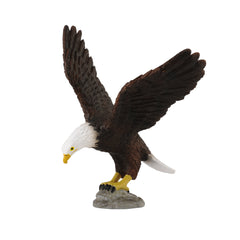 American Bald Eagle (3 Years +)
