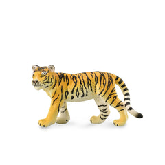 Tiger Cub Walking (3 Years +)