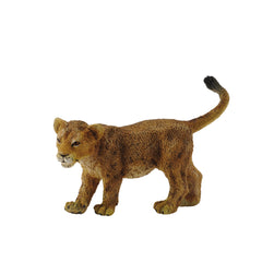 Lion Cub Walking (3 Years +)
