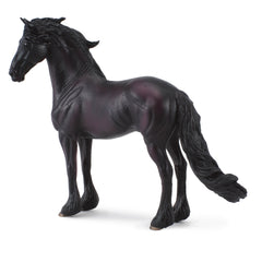 Friesian Stallion (3 Years +)