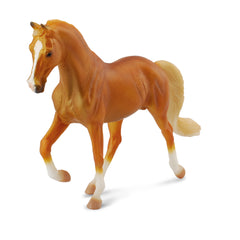 Tennessee Walking Horse Stallion Golden Palomino (3 Years +)