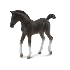 Tennessee Walking Horse Foal Black (3 Years +)