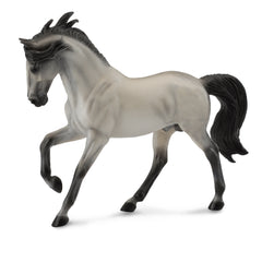 Andalusian Stallion Grey (3 Years +)