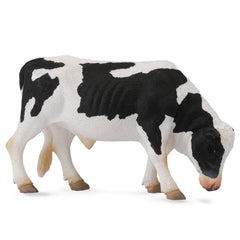 Friesian Bull (3 Years +)
