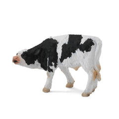 Friesian Calf Suckling (3 Years +)
