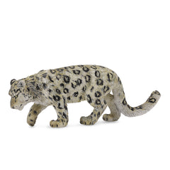 Snow Leopard (3 Years +)