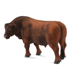 Red Angus Bull (3 Years +)