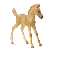Haflinger Foal Standing (3 Years +)