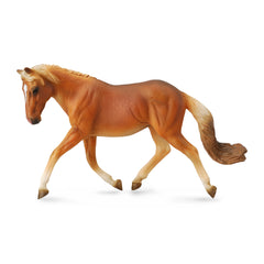 Haflinger Mare (3 Years +)