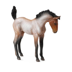Mustang Foal Bay Roan (3 Years +)