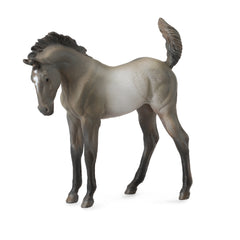 Mustang Foal Grulla (3 Years +)