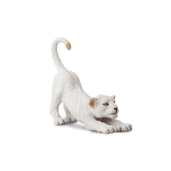 White Lion Cub Stretching (3 Years +)