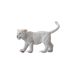 White Lion Cub Walking (3 Years +)