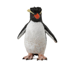 Rockhopper Penguin (3 Years +)