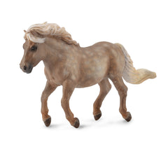 Shetland Pony Silver Dapple (3 Years +)