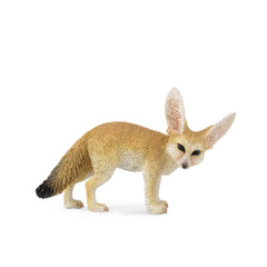 Fennec Fox (3 Years +)