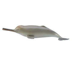 Ganges River Dolphin (3 Years +)