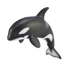 Orca Calf (3 Years +)