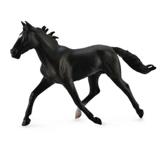 Standardbred Pacer Stallion Black (3 Years +)