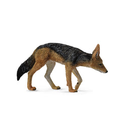 Blackbacked Jackal (3 Years +)