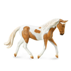 Pinto Mare Palomino (3 Years +)