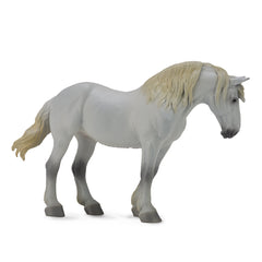 Percheron Mare Grey (3 Years +)