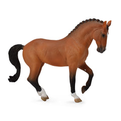 Hanoverian Mare Bay (3 Years +)