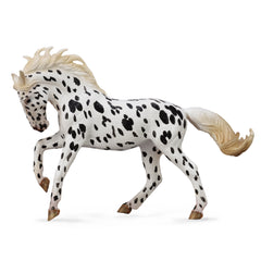 Knabstrupper Mare Black Leopard (3 Years +)
