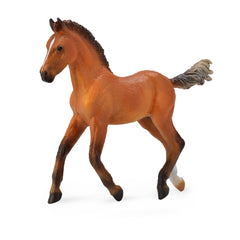 Hanoverian Foal Bay (3 Years +)