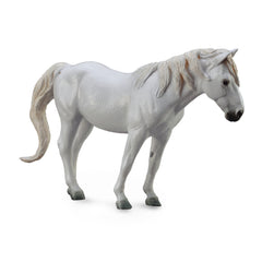 Camargue Grey (3 Years +)