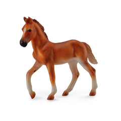 Peruvian Paso Foal Chestnut (3 Years +)