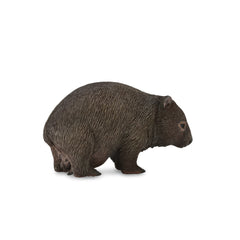 Wombat (3 Years +)