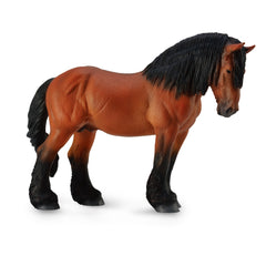 Ardennes Stallion Bay (3 Years +)