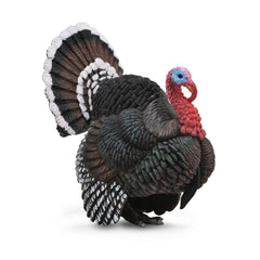 Turkey (3 Years +)