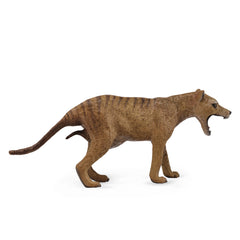 Thylacine Tasmanian Tiger Female (3 Years +)