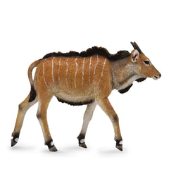 Giant Eland Calf (3 Years +)