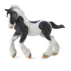 Gypsy Foal Black & White Piebald (3 Years +)