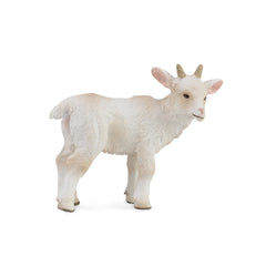 Goat Kid - Standing (3 Years +)