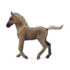 Rocky Mountain Foal (3 Years +)