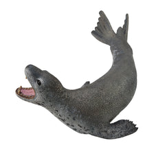 Leopard Seal (3 Years +)