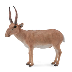 Saiga-Antelope (3 Years +)
