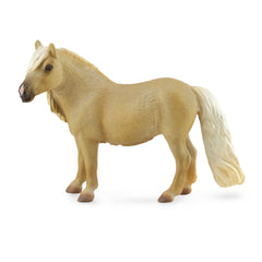 Falabella Mare Palomino (3 Years +)
