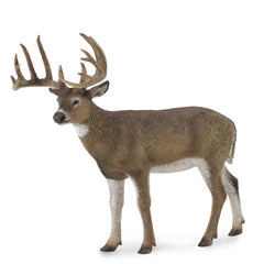 White-Tailed Deer (3 Years +)
